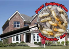 Pest Inspection Network, Inc. — Pest Inspection logo